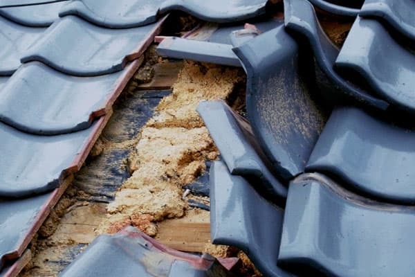 瓦修理・瓦補修