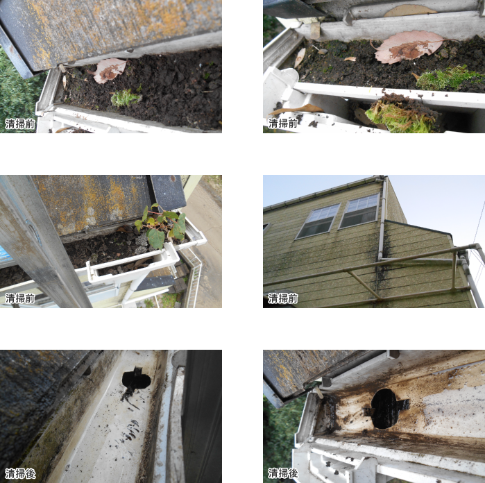 雨樋 清掃